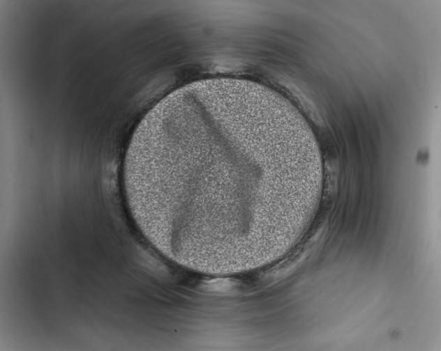 X0000102800269200809150936