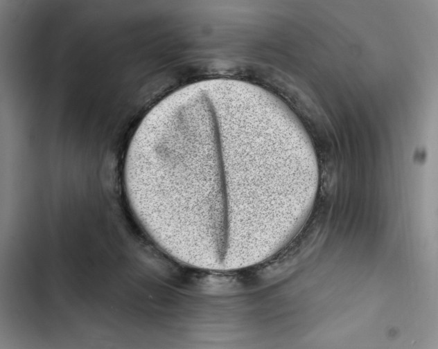 X0000102800270200809150936