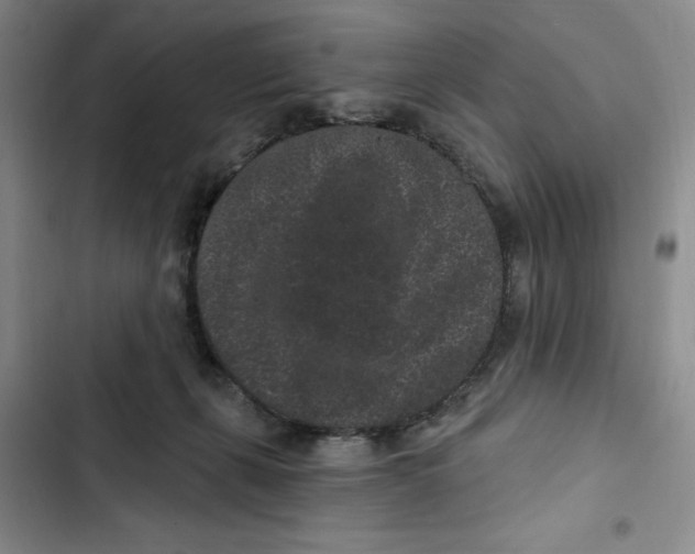 X0000102800271200809150936