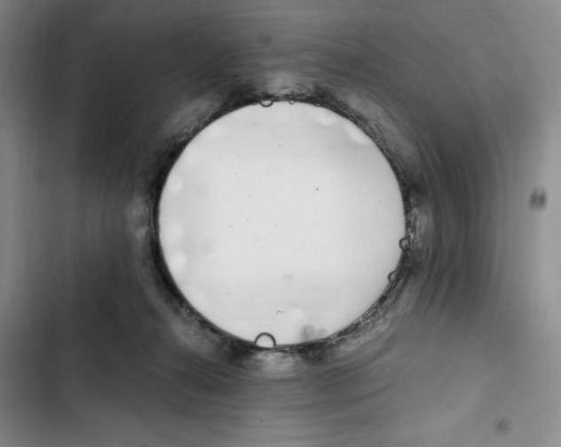 X0000102800272200809150936