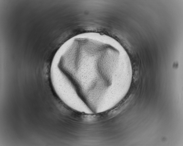 X0000102800273200809150936