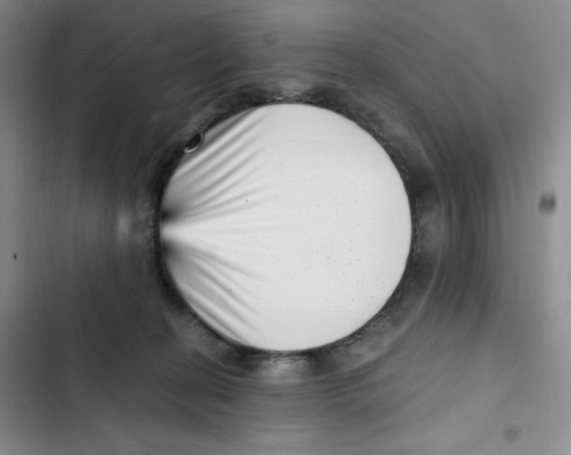 X0000102800274200809150936