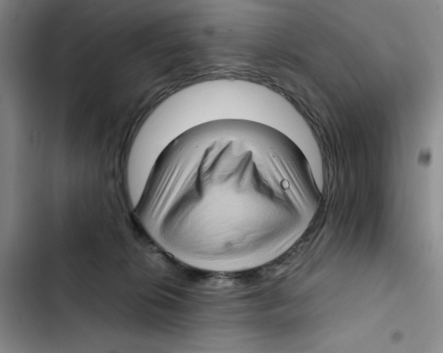 X0000102800276200809150936