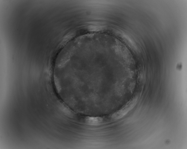 X0000102800277200809150936