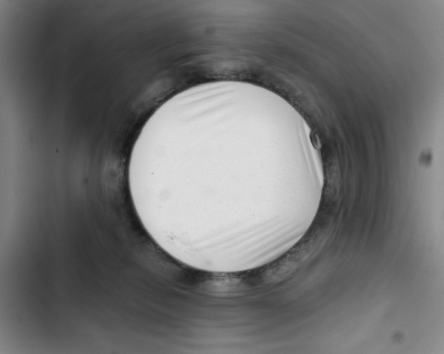 X0000102800278200809150936