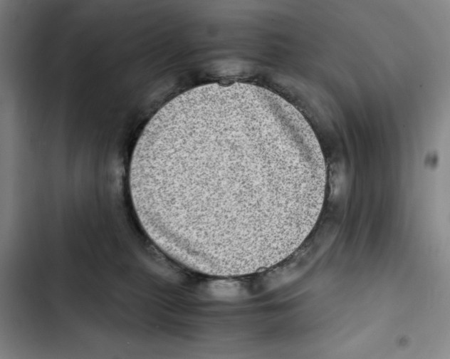 X0000102800279200809150936