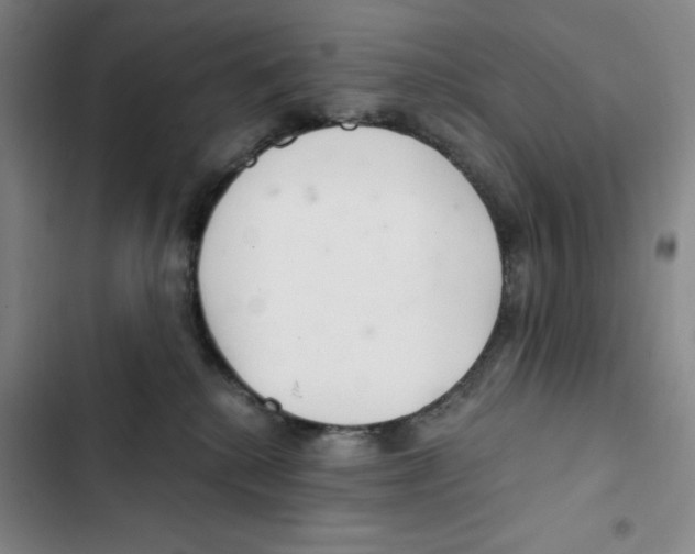 X0000102800280200809150936