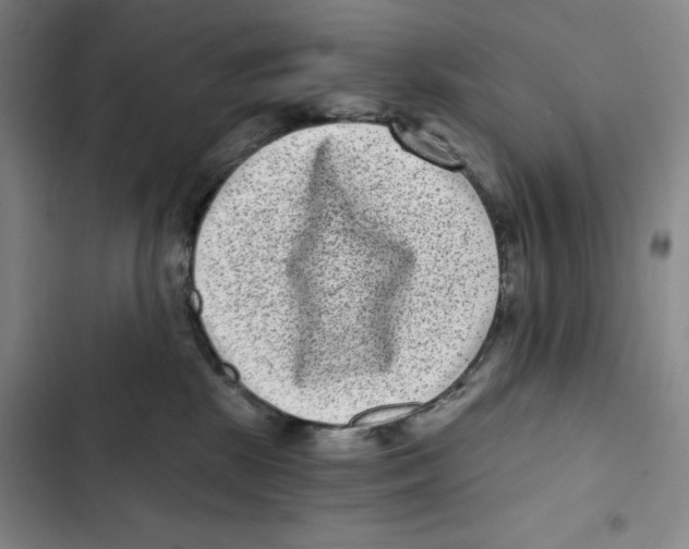 X0000102800281200809150936