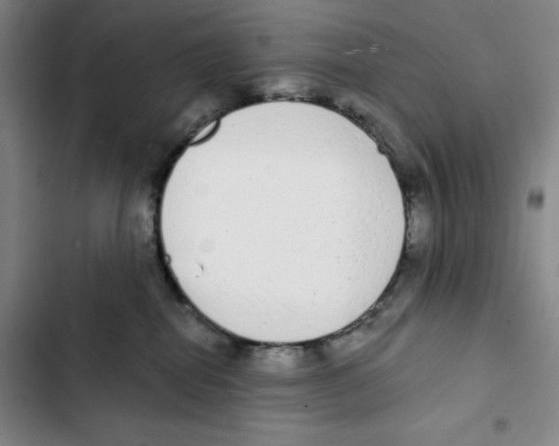 X0000102800282200809150936