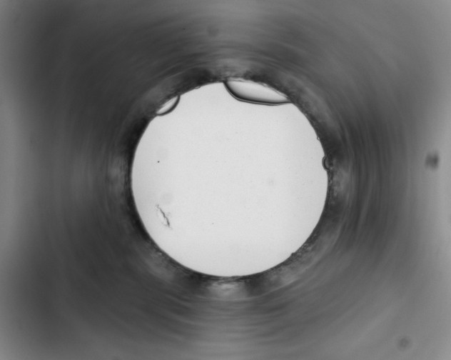 X0000102800283200809150936