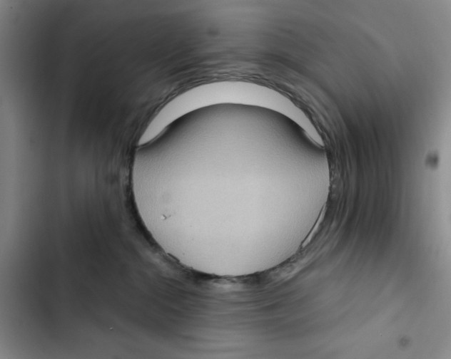 X0000102800284200809150936