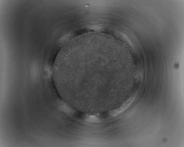 X0000102800285200809150936