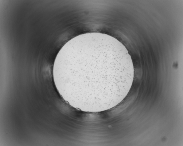 X0000102800286200809150936