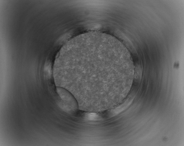 X0000102800287200809150936