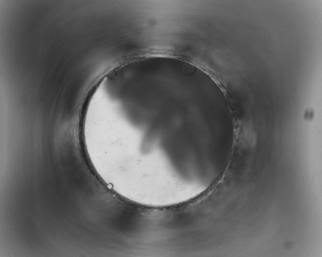 X0000102800293200809150935