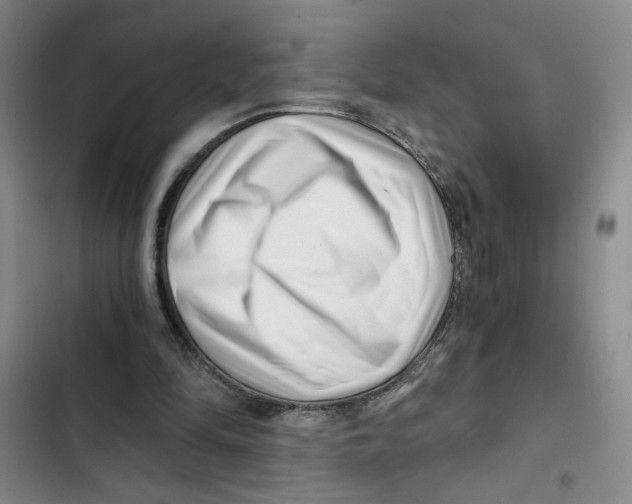 X0000102800294200809150935