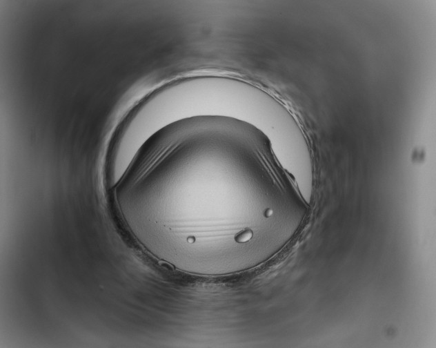 X0000102800296200809150935