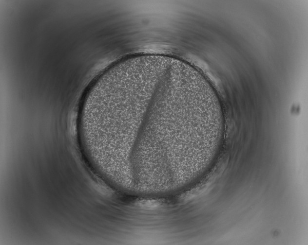 X0000102800299200809150935