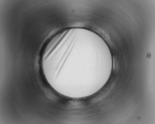 X0000102800300200809150935