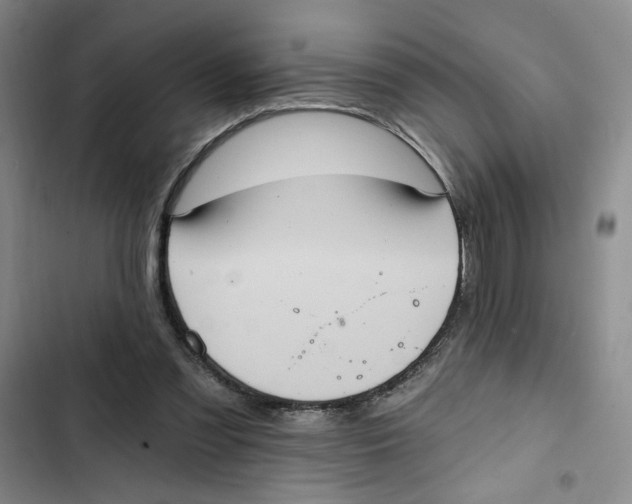 X0000102800301200809150935