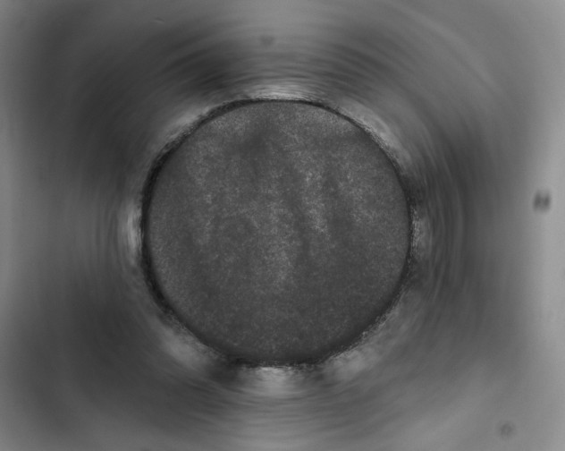 X0000102800302200809150935