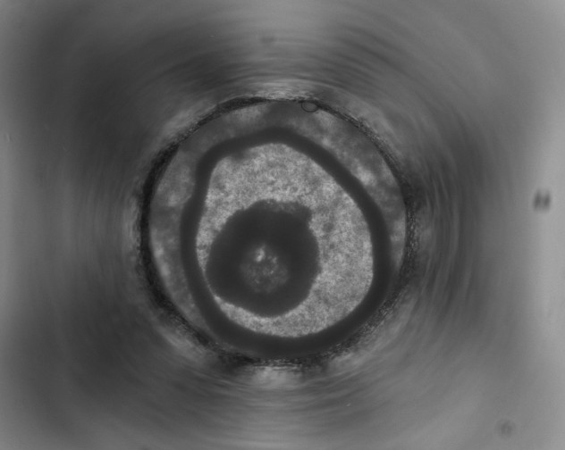 X0000102800303200809150935