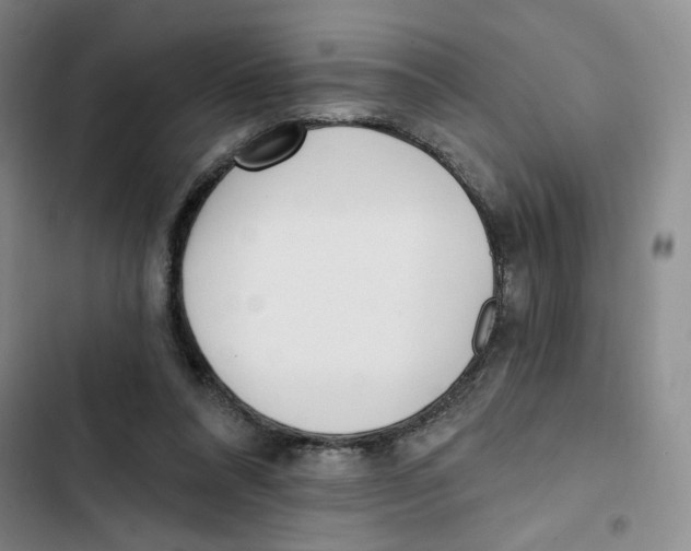 X0000102800304200809150935