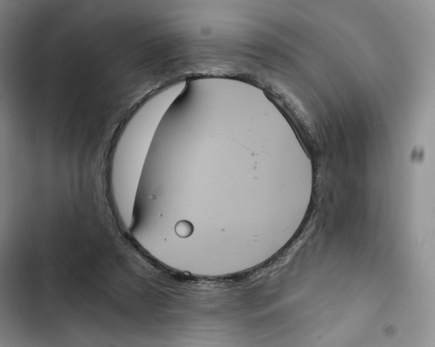 X0000102800305200809150935