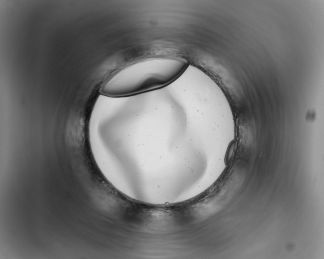 X0000102800308200809150935