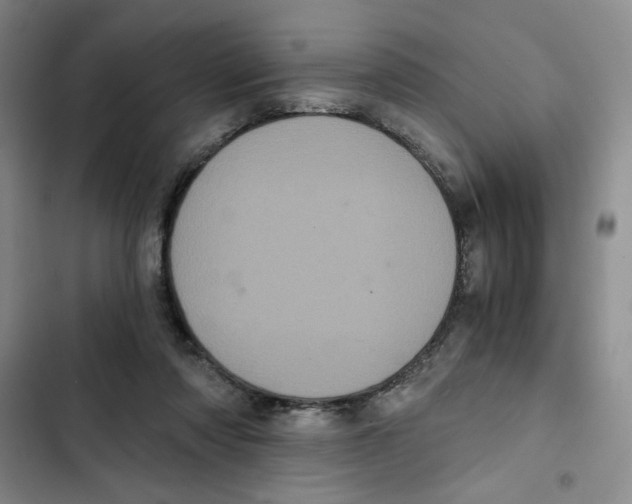 X0000102800310200809150935