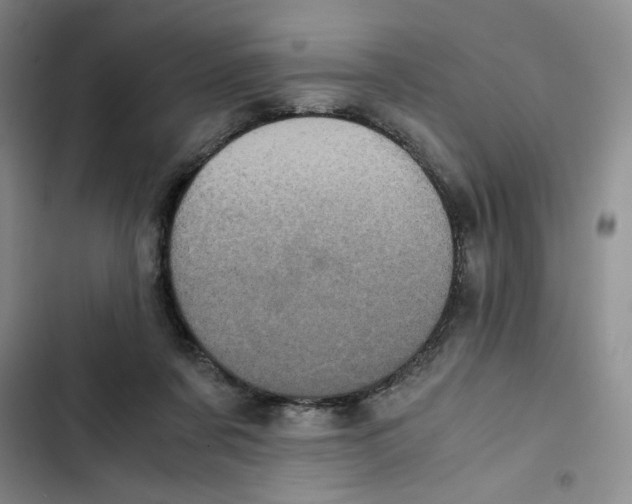 X0000102800311200809150935