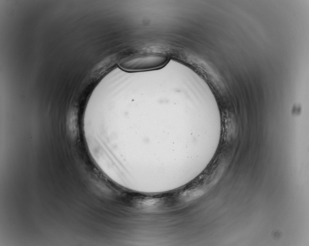 X0000102800312200809150935