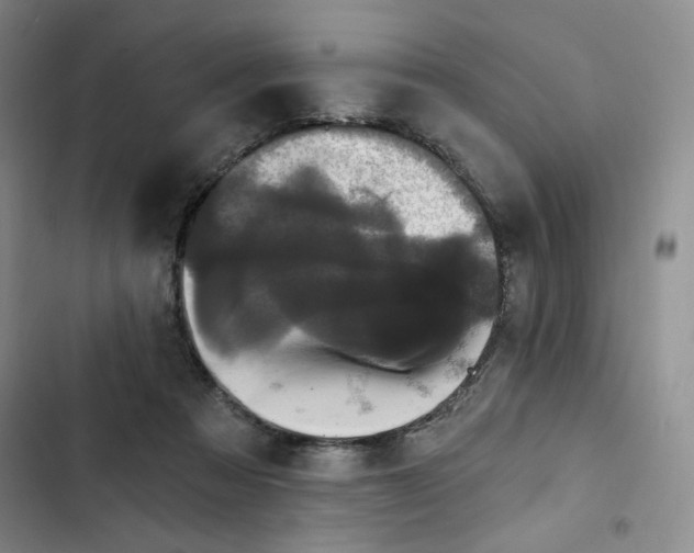 X0000102800313200809150935