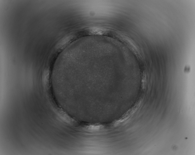 X0000102800314200809150935