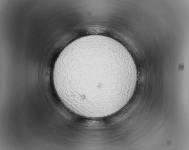 X0000102800315200809150935