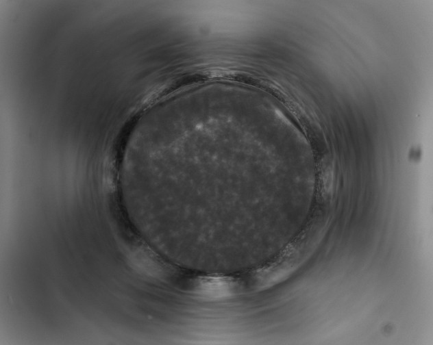 X0000102800316200809150935