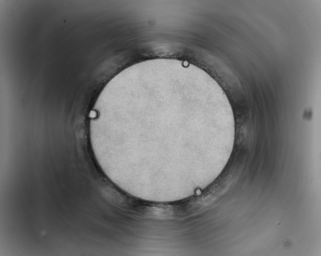 X0000102800317200809150935