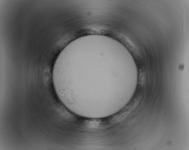 X0000102800318200809150935