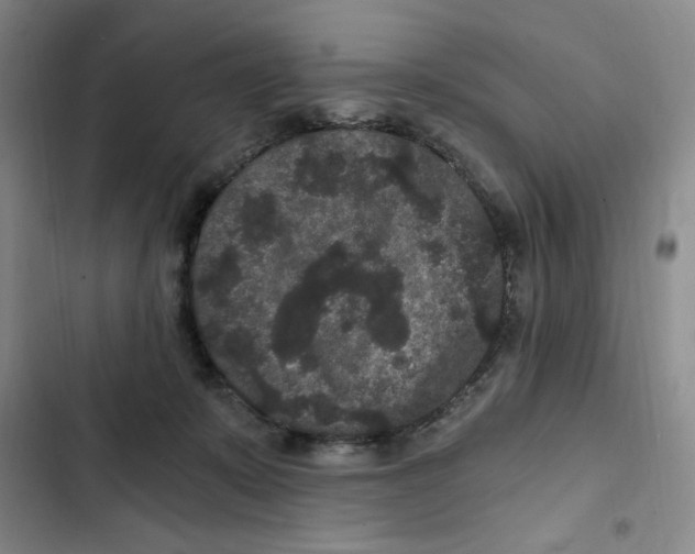 X0000102800319200809150935