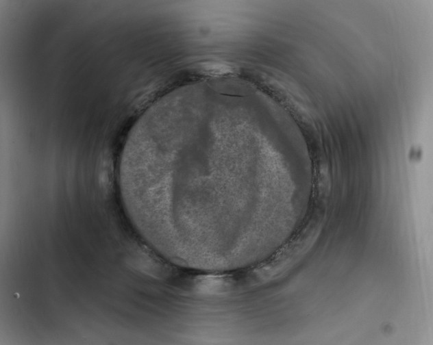 X0000102800320200809150935