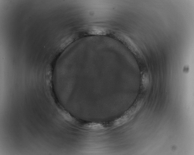 X0000102800322200809150935