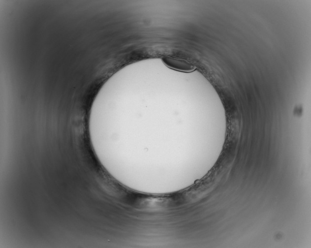 X0000102800323200809150935