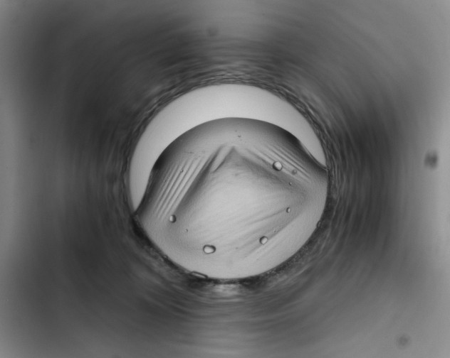 X0000102800324200809150935