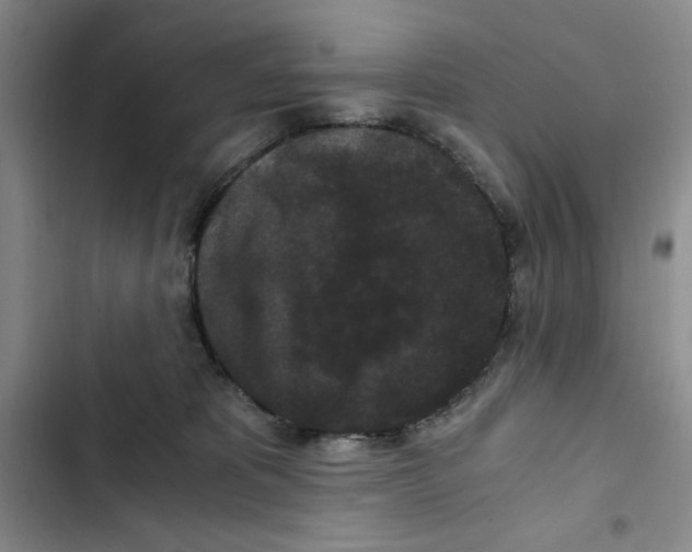 X0000102800325200809150935