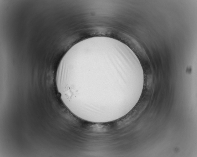 X0000102800326200809150935