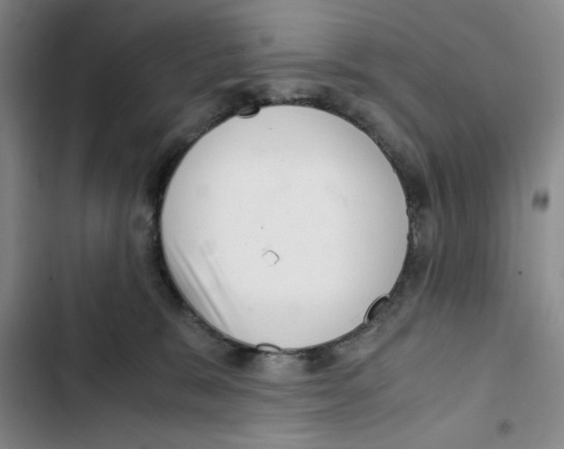 X0000102800327200809150935