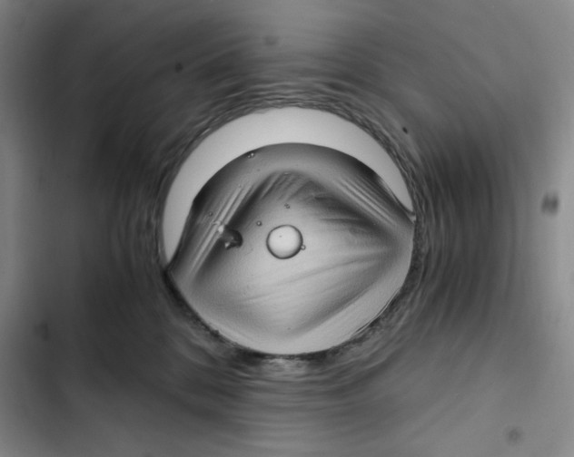 X0000102800328200809150935