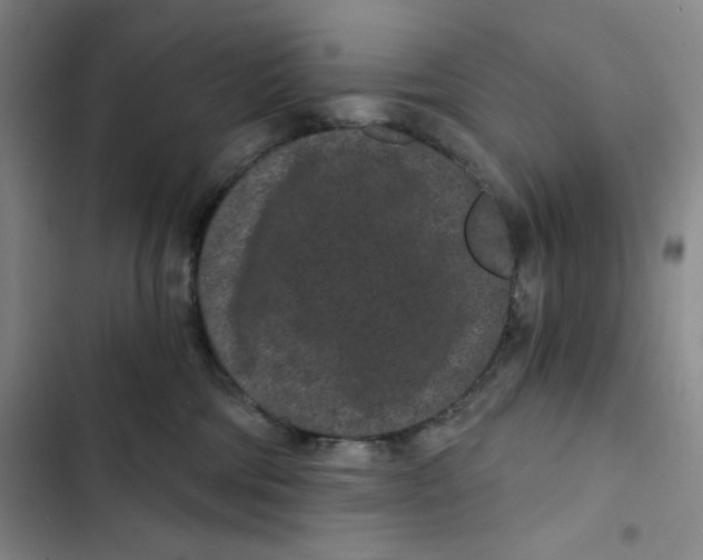 X0000102800330200809150934