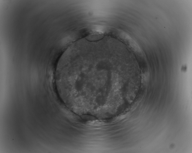 X0000102800331200809150934