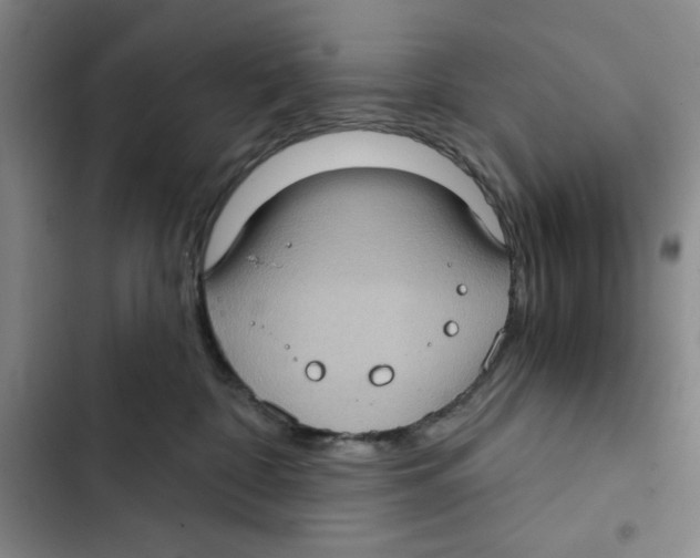 X0000102800332200809150934